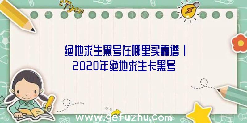 「绝地求生黑号在哪里买靠谱」|2020年绝地求生卡黑号